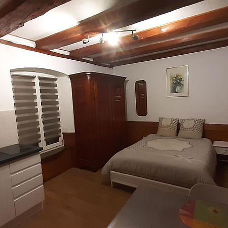 Appartement Vauban Colmar Zewnętrze zdjęcie