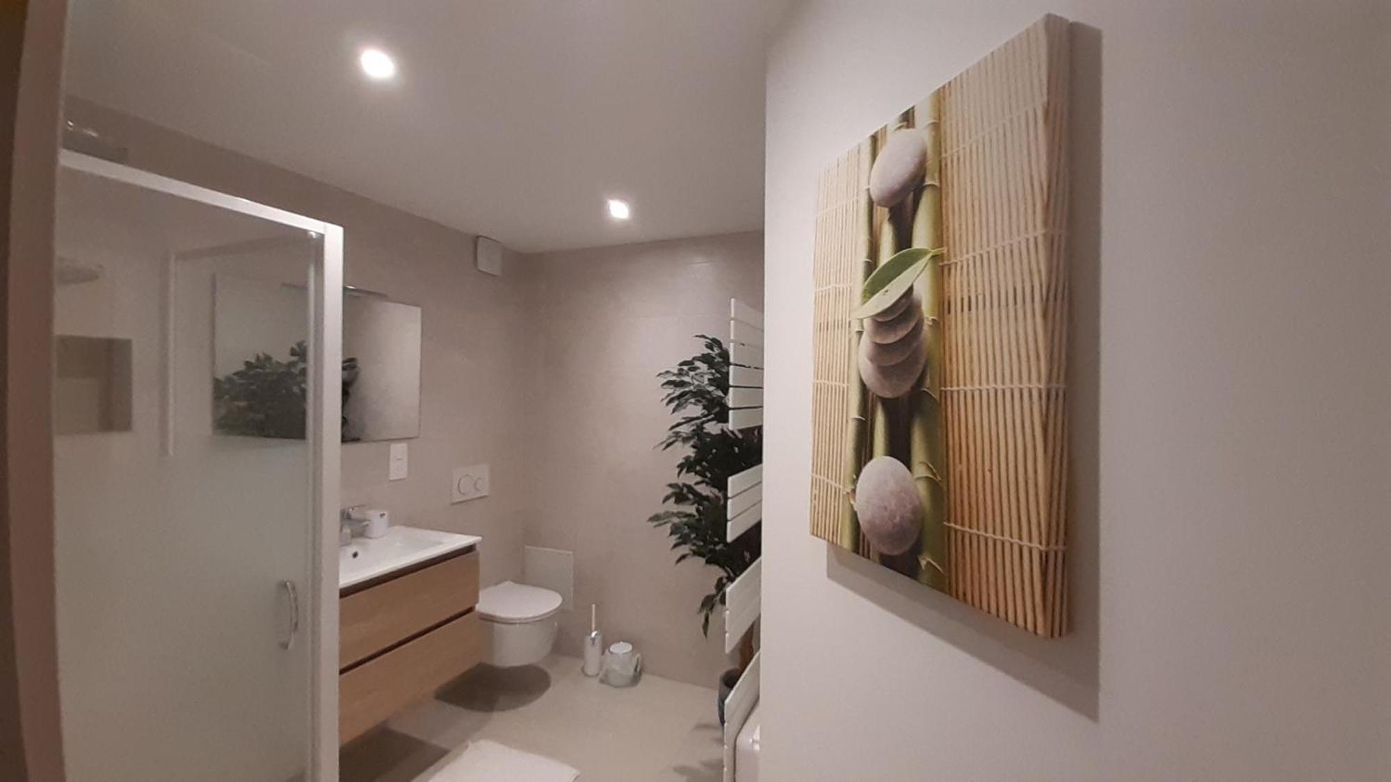 Appartement Vauban Colmar Zewnętrze zdjęcie